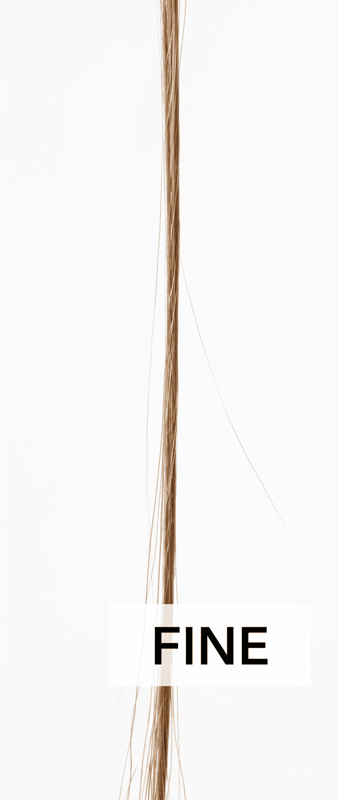 رفيع